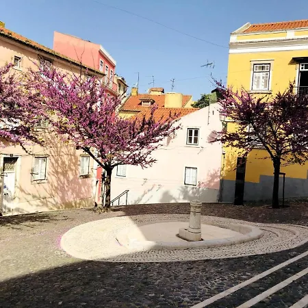 Apartmán Central Studio